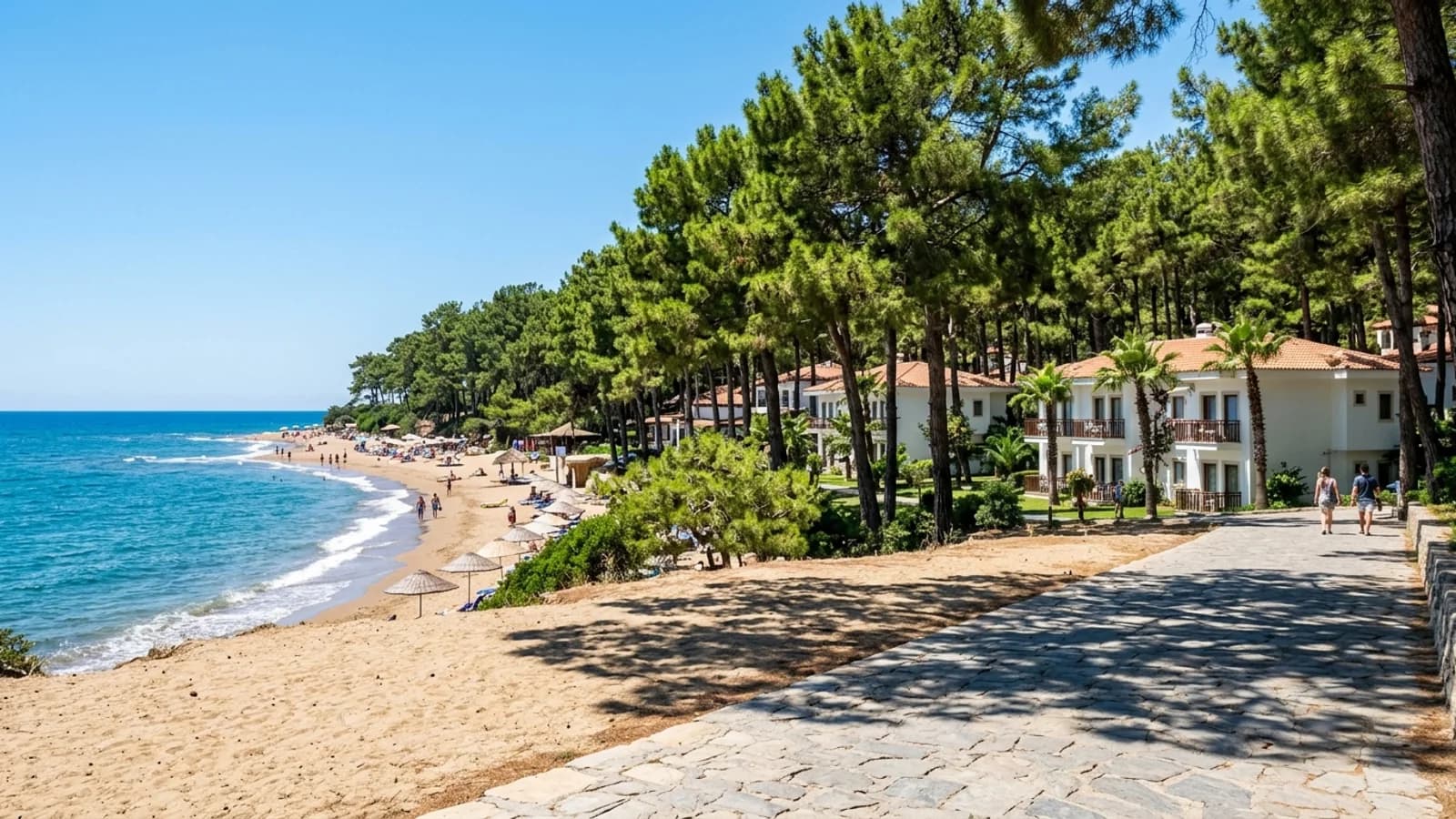Sandstrand und Kiefernwald in Sorgun Ein Kiefernwald reicht bis zum Sandstrand von Sorgun, wo Hotelgebäude im Halbschatten der Bäume liegen.